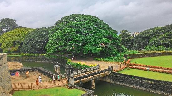 Palakkad