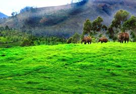 Exotic Kerala Hillstation Tour