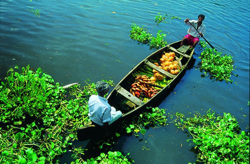 Rustic Kerala Tour