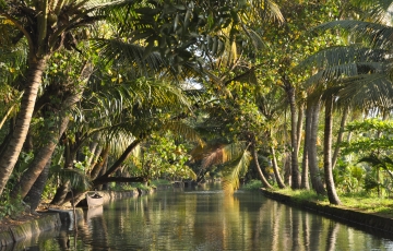 Vagamon - Kumarakom - Alleppey