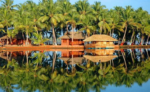 Incredible Kerala Wildlife Getaway