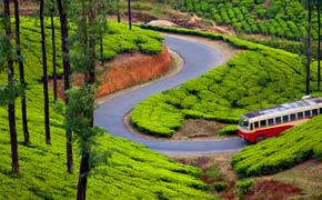 Kerala Tour from Mumbai with Airfare