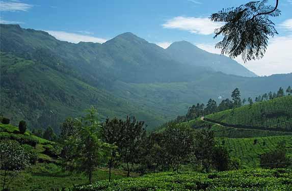 Tribal Getaway in Kerala